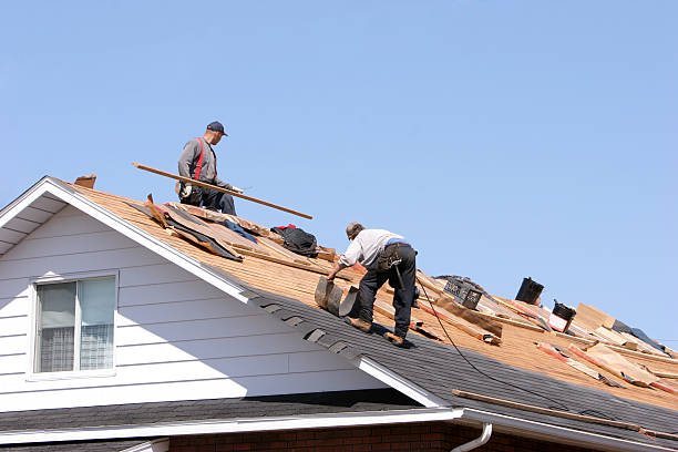 Best Skylight Installation and Repair  in East Berwick, PA